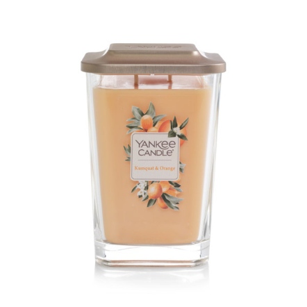 Kumquat/Orange 金桔和橘香