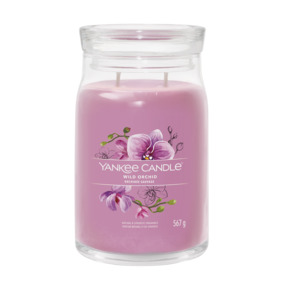Wild Orchid 野蘭花