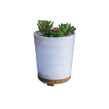POTTED SUCCULENT - Diffuser