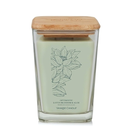 Optimistic Lotus Blossom&Aloe 樂觀蓮花和蘆薈
