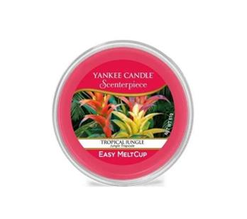 Tropical Jungle 熱帶叢林